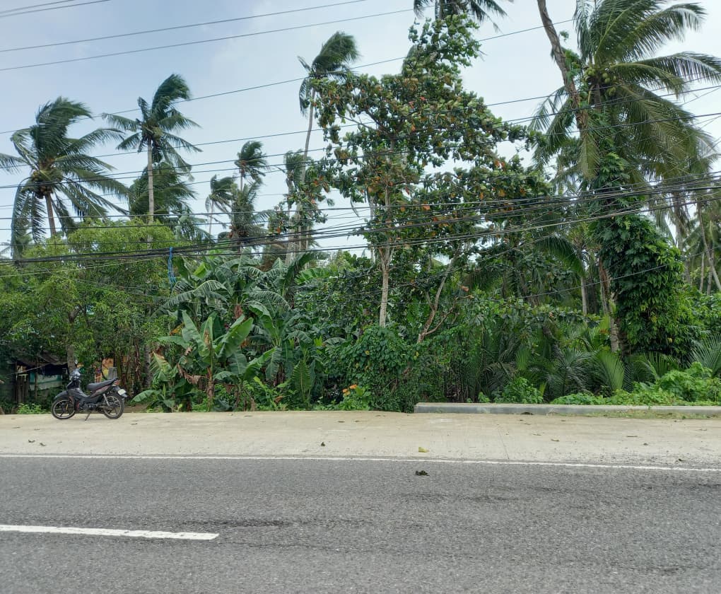 Calbayog | Lot for Sale in Samar