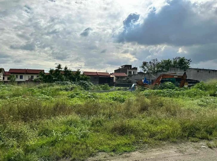 Palingon Lot | Lot for Sale in Taguig City