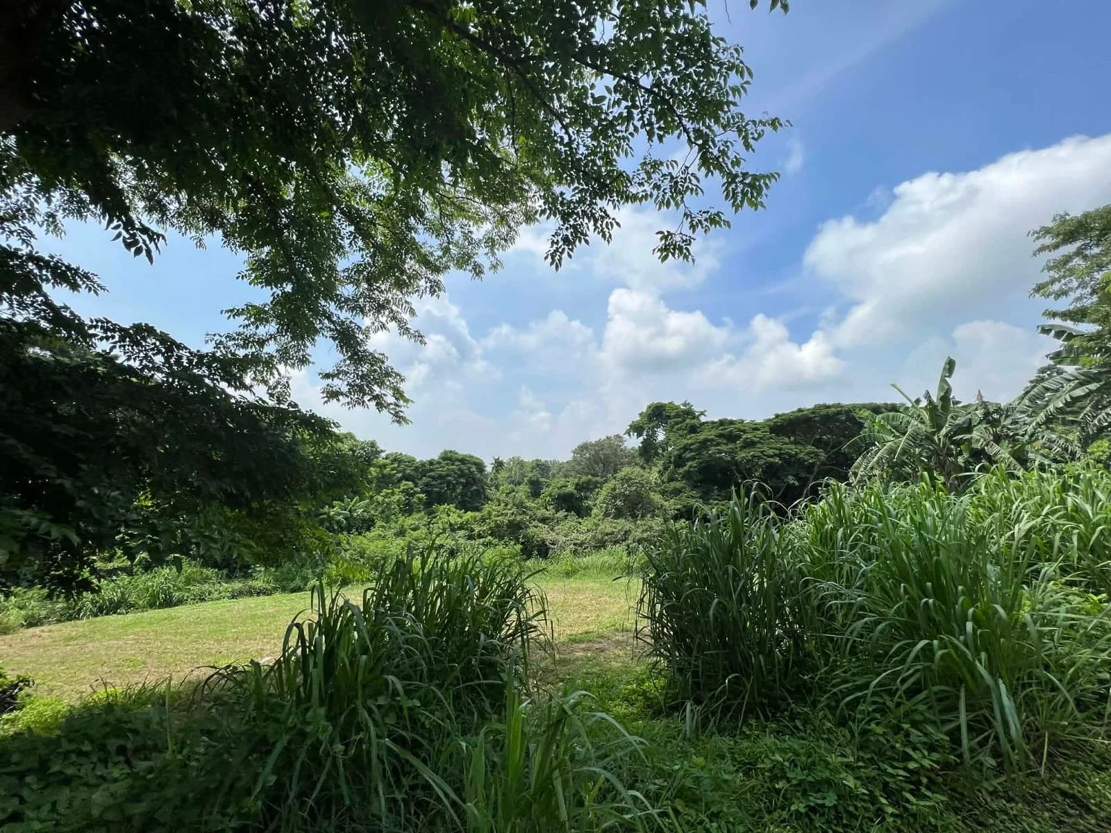 Wedgewoods | Lot for Sale in Cavite
