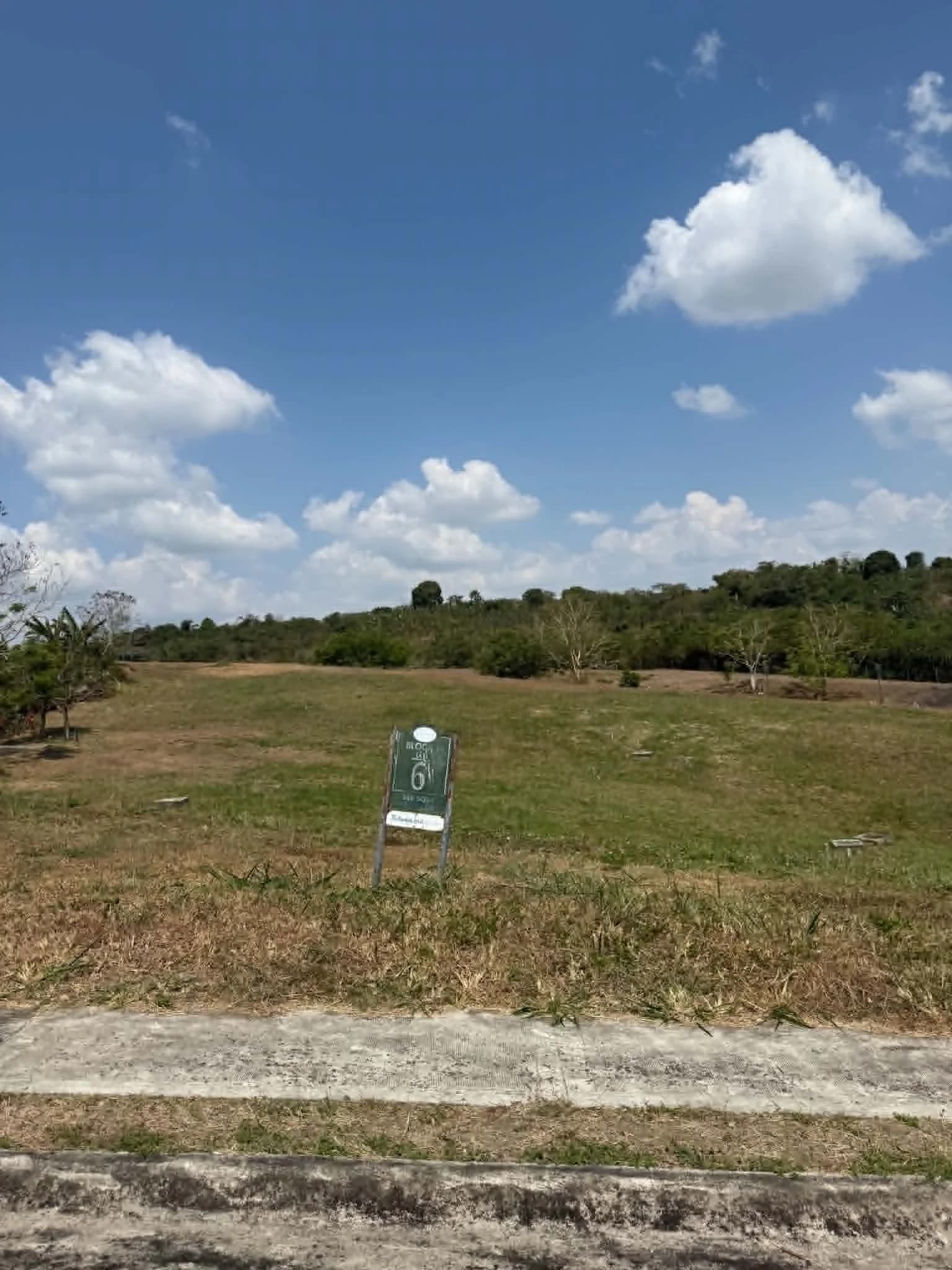 Ayala Westgrove Heights | Lot for Sale in Cavite