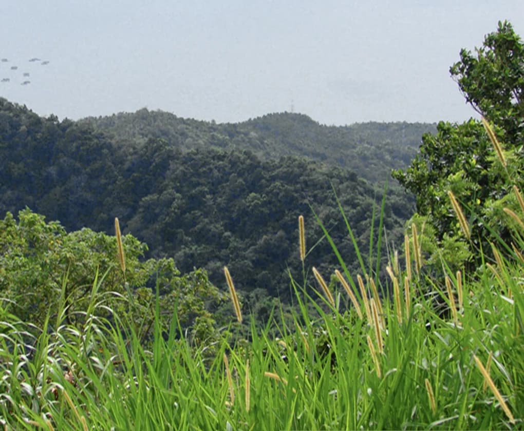 Batangas | Lot for Sale in Batangas