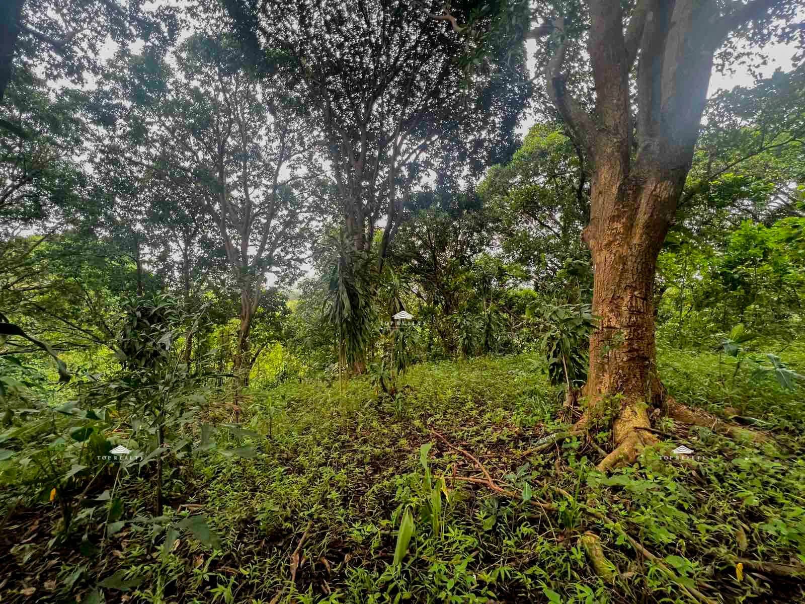 Eastland Heights | Lot for Sale in Rizal