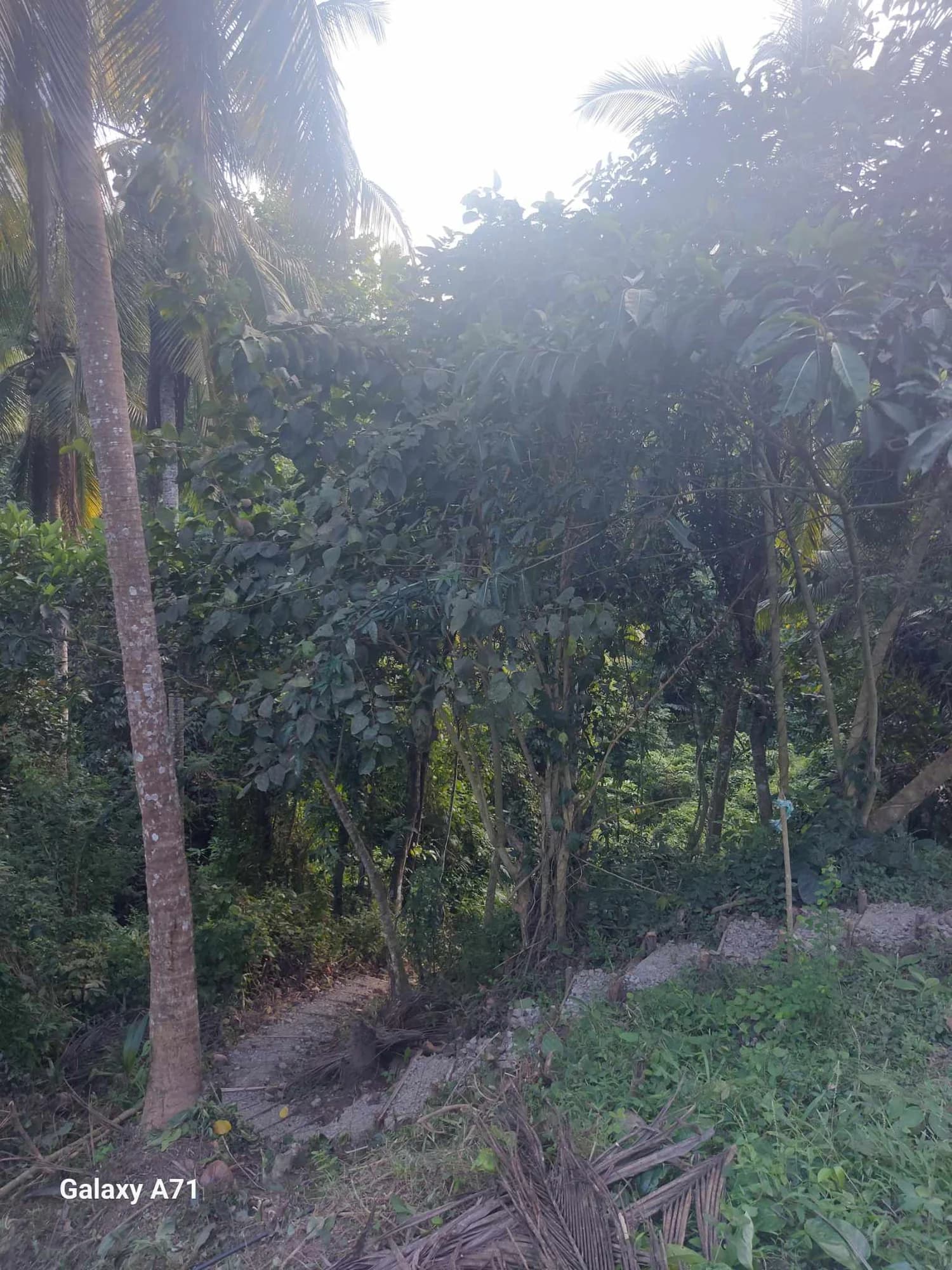 Rosario, Batangas | Lot for Sale in Batangas