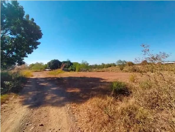 Lupao Nueva Ecija Lot | Lot for Sale in Nueva Ecija