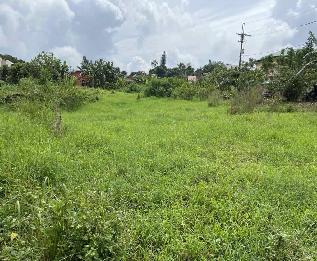 Filipinas Farm Iii | Lot for Sale in Tagaytay City