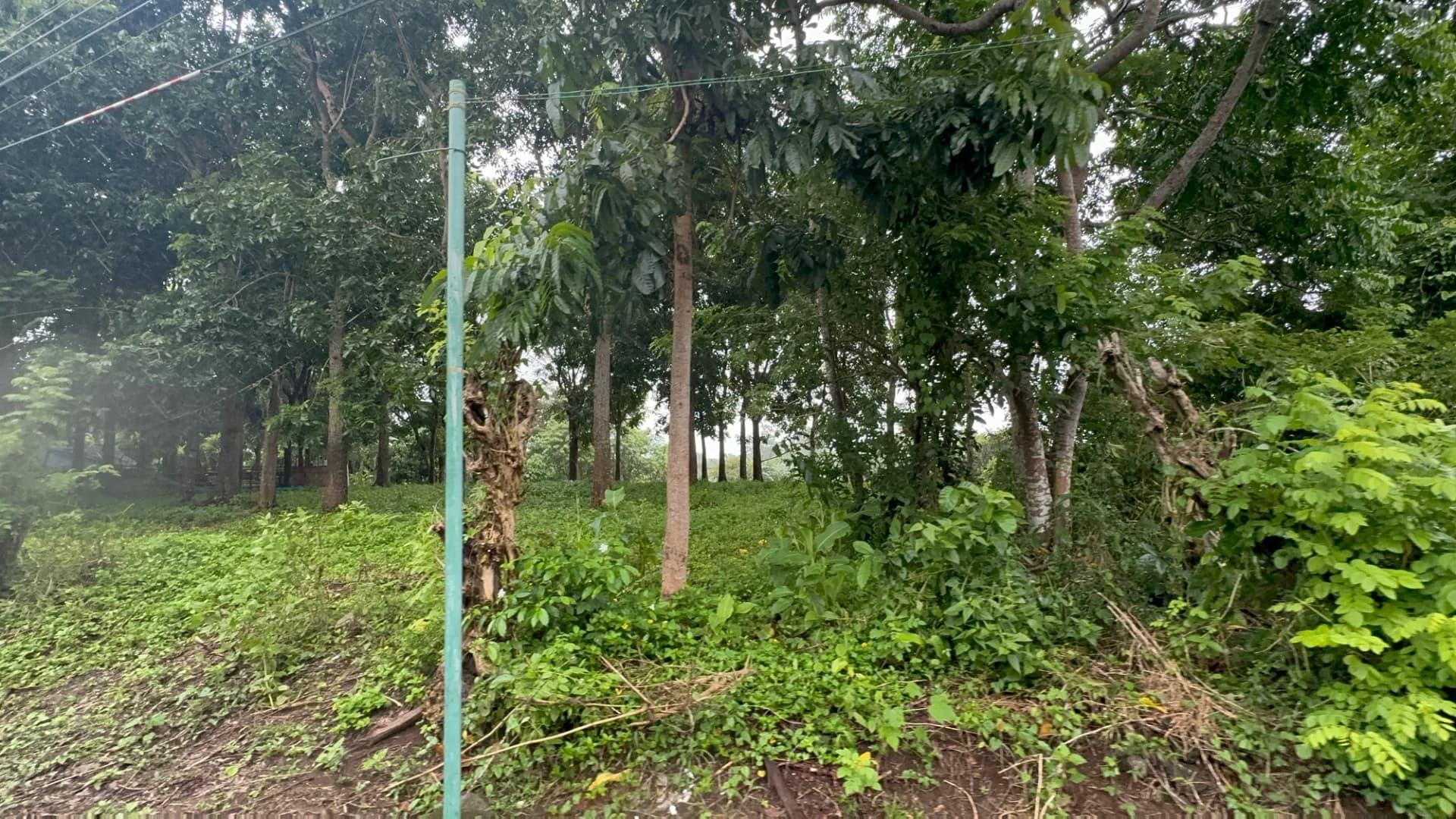 Alingaro, General Trias | Lot for Sale in Cavite