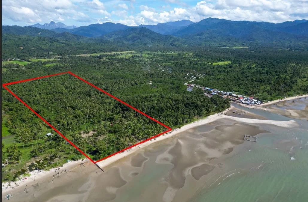 Palawan - Puerto Princesa City | Lot for Sale in Palawan