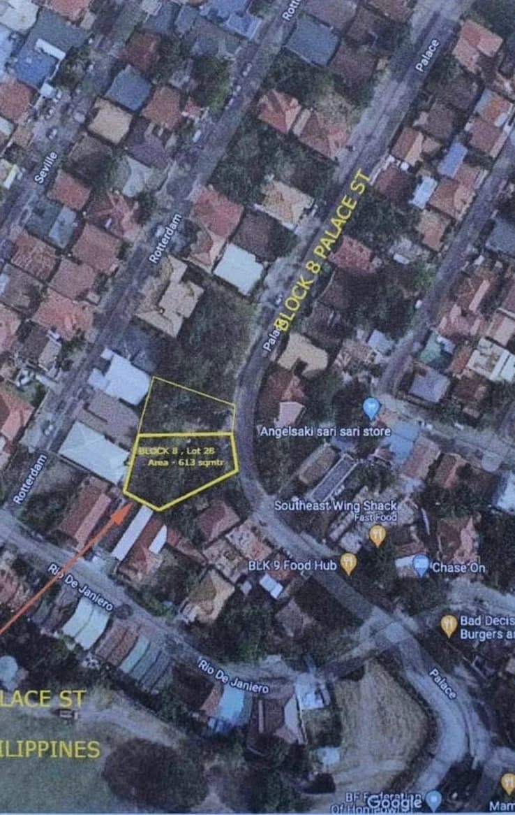 Bf International Las Pinas City | Lot for Sale in Parañaque City