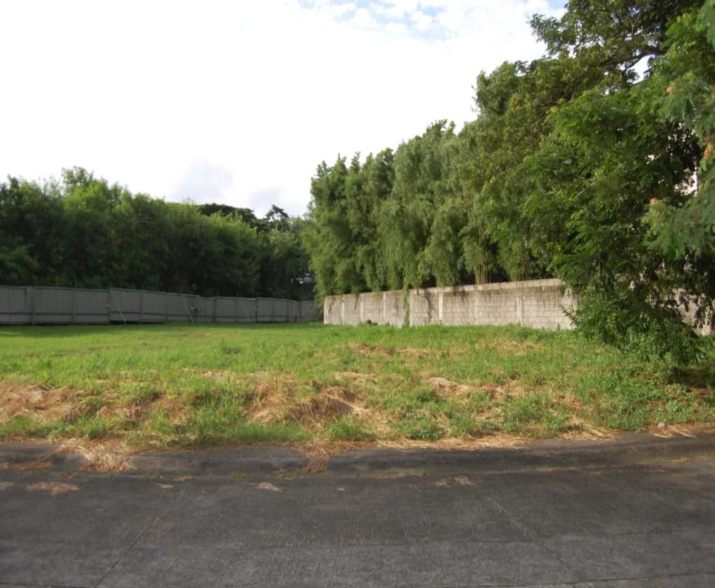 Ayala Southvale Sonera Village | Lot for Sale in Las Piñas City