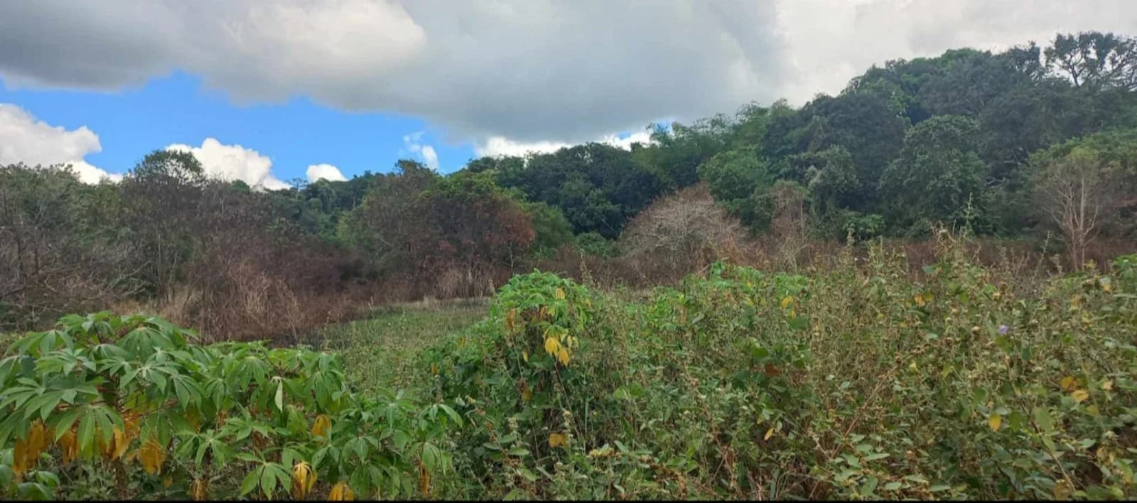 Rizal | Lot for Sale in Rizal