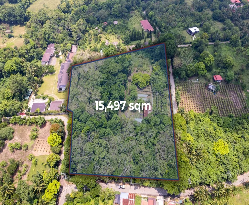 Farm Lot Tagaytay Alfonso - Cavite | Farm for Sale in Cavite