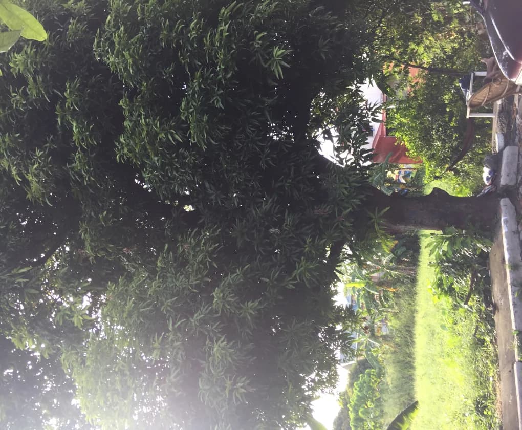 Vermont Royale Executive Village | Lot for Sale in Rizal